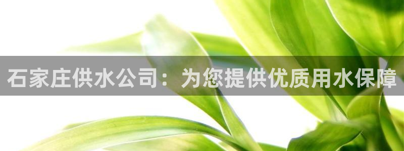 球友会审核