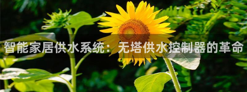 QY球友会