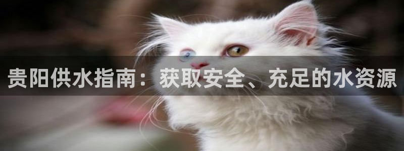 球友会体育app下载安卓