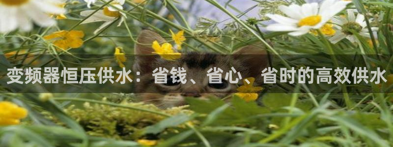 球友会官方网站