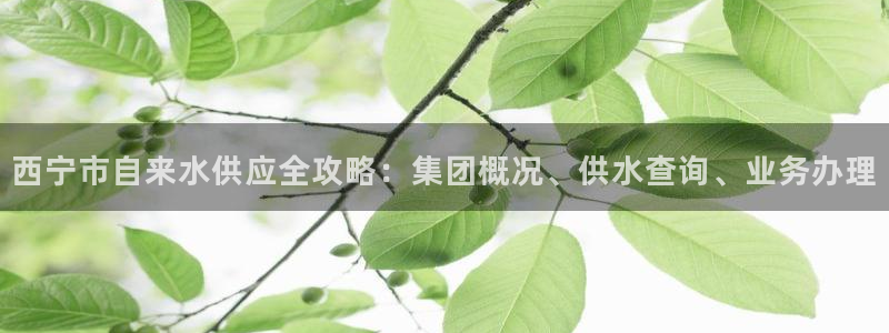 球友会FIFA22比赛是否能随机超控