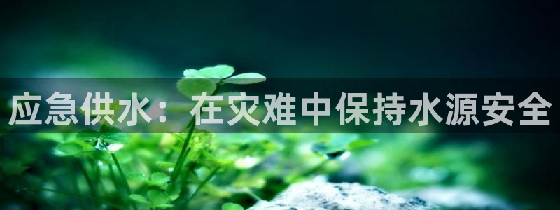 球友会官网入口在哪里
