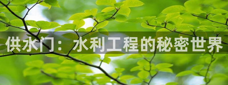 球友会体育app下载安卓
