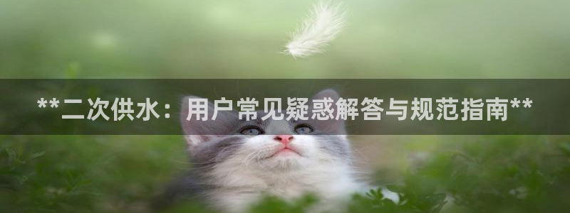 球友会是不是大平台