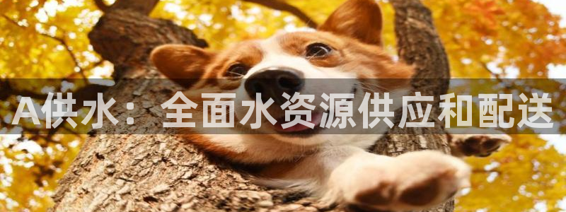 球友会台球俱乐部