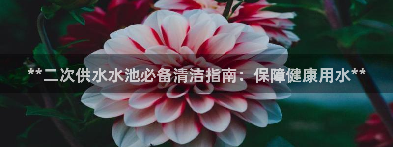 球友会拼音