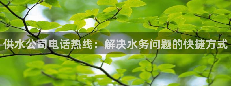 球友会qyh88bet