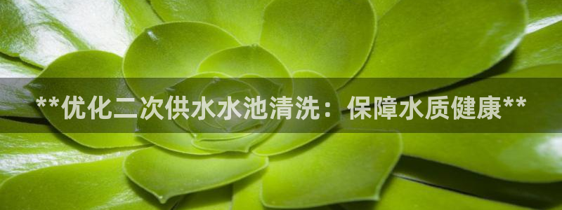 关键词