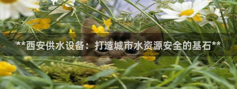 球友会app安全吗