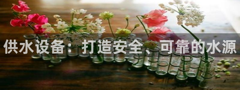 球友会提款审核中