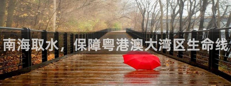 球友会app干啥的呀