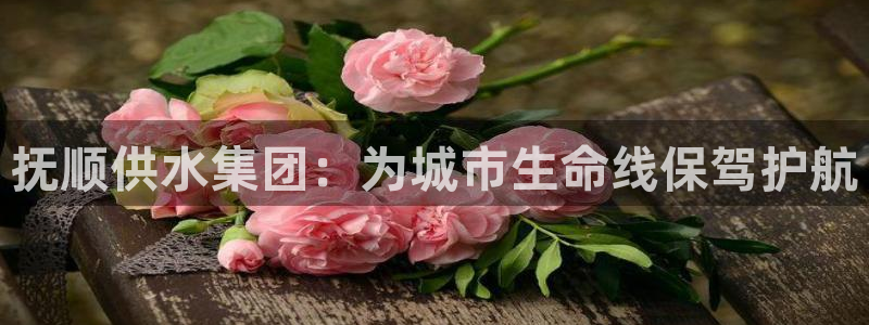 球友会体育app下载官网安卓