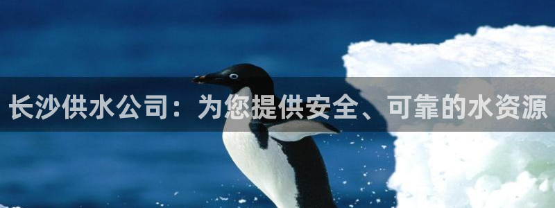 球友会提现