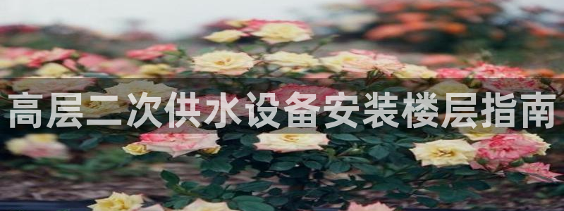 球友会提款审核