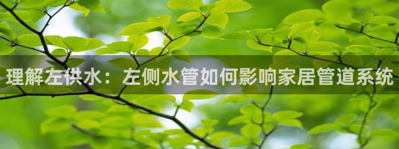 球友会娱乐