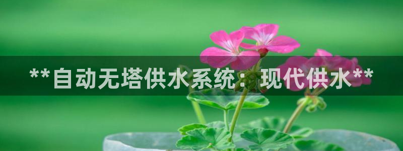 球友会体育官网