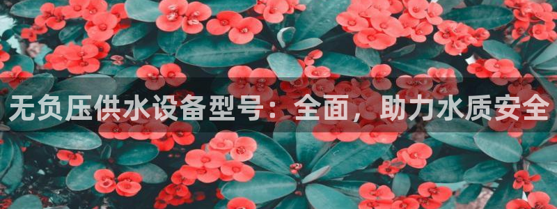 球友会比尔森胜利塔波斯科