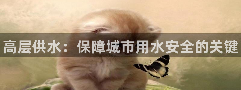 球友会app安全吗可靠吗是真的吗
