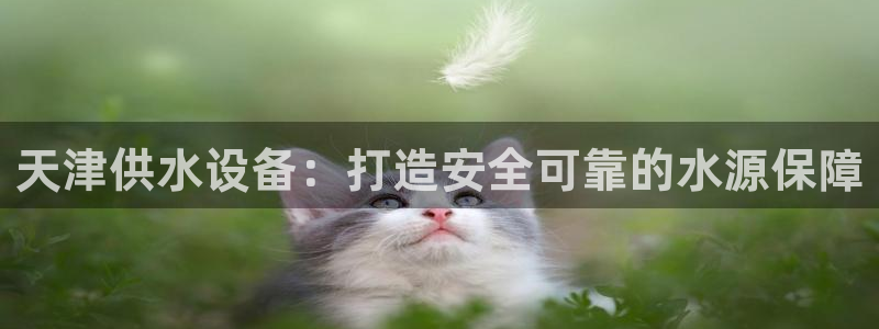 球友会英文怎么说呢翻译