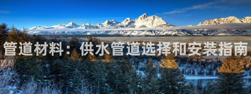 球友会台球俱乐部官网