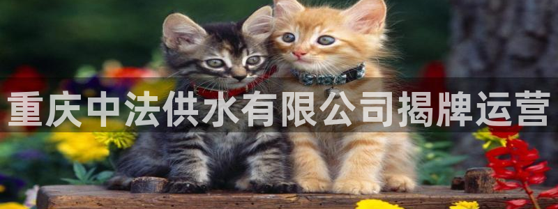 球友会app安全吗