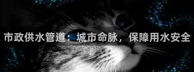球友会官网入口网址
