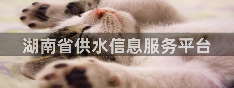 球友会官方网站入口
