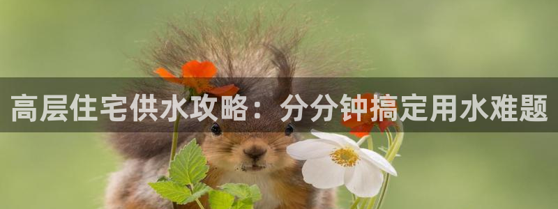球友会qy