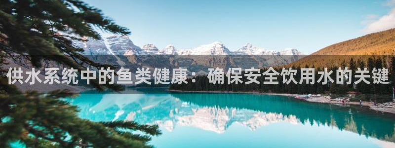 球友会登录