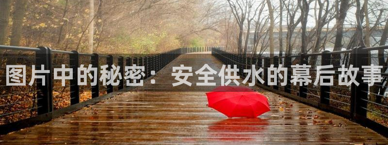 球友会下载