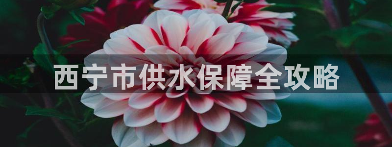 球友会app安全吗可靠吗是真的吗