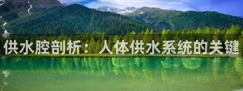 球友会官方网站下载