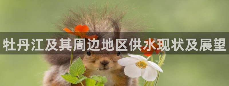 球友会体育app官方版下载安装苹果