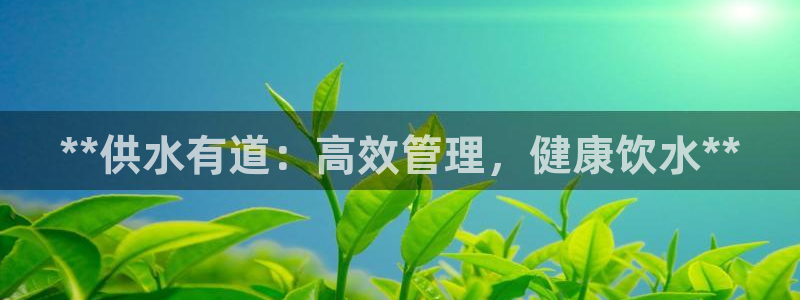 QY球友会体育官网