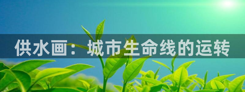 球友会体育app下载安卓版