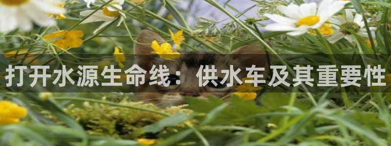 球友会体育app官方版下载安装苹果手机