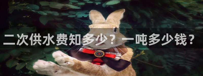 球友会·(QY)官方网站