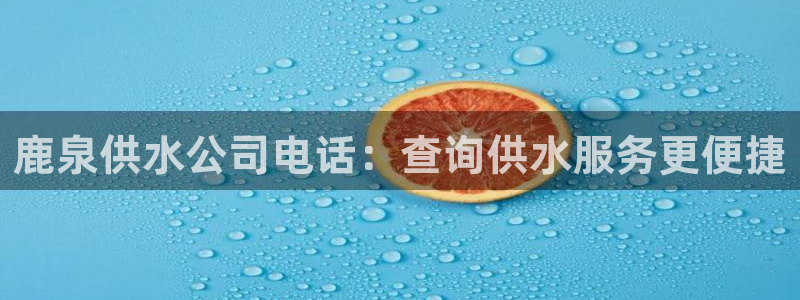 球友会logo