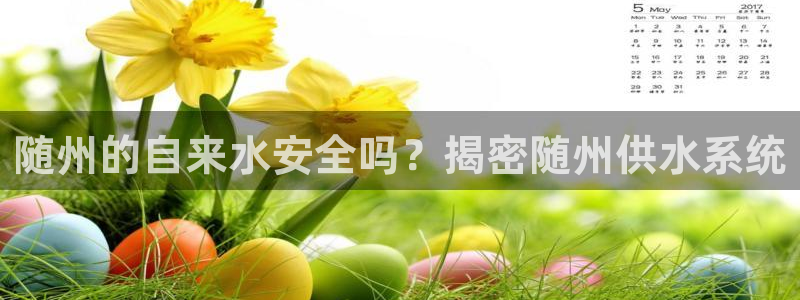 qy球友会体育官网下载