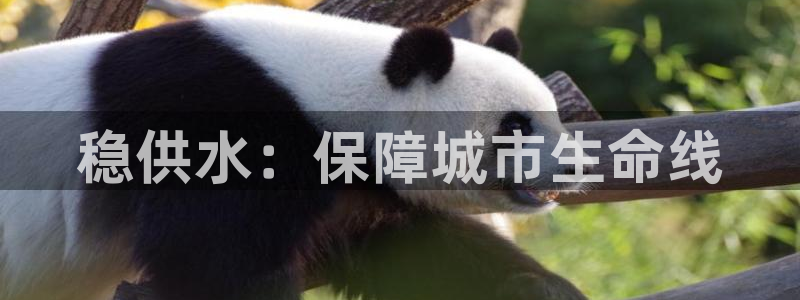 球友会app官网下载安卓
