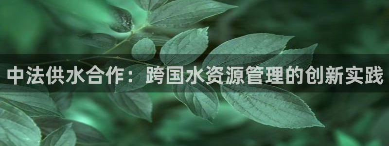 球友会友谊赛赛程