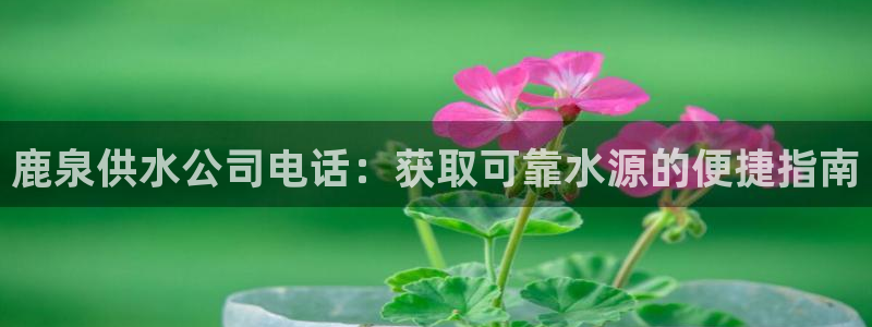球友会是不是大平台