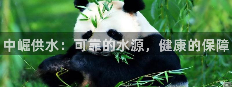 球友会app下载QY