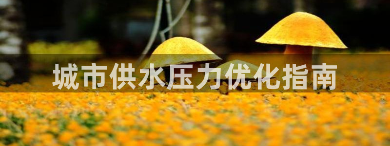 球友会qy