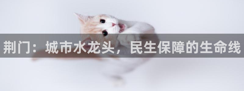 球友会友谊赛赛程