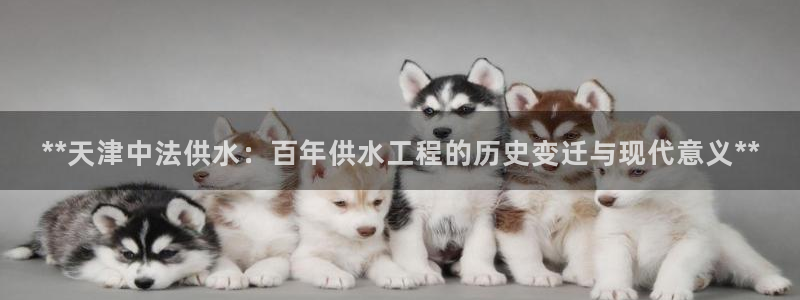 球友会赛程