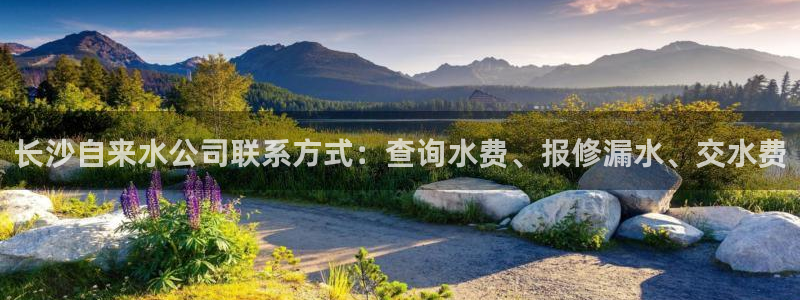 球友会·(QY)官方网站
