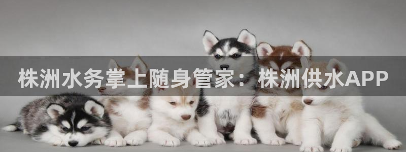 球友会app安全吗可靠吗是真的吗