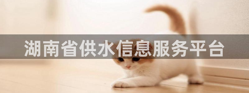 球友会体育app下载官网苹果