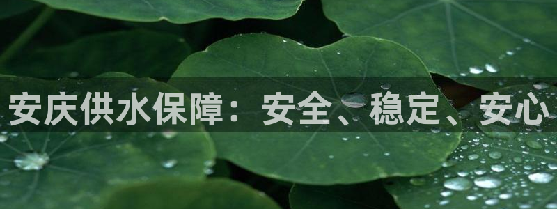 球友会提现不到账